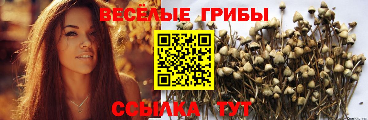 Галлюциногенные грибы мухоморы  Вход с VPN  Чернушка 