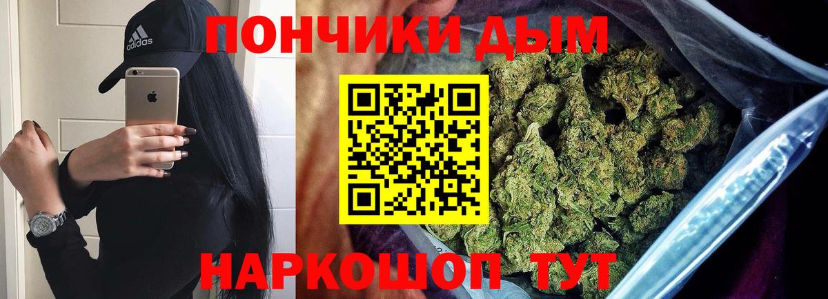 Бошки марихуана гибрид Чернушка